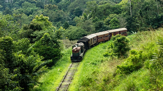 Sri Lanka Travel