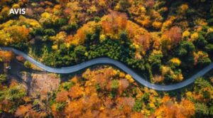 How to Save Money and Travel Smarter with Car Hire on Your Next Trip